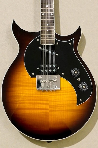 Lambs Electric Mandolins